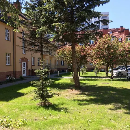 Rafael سفينويتشي