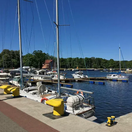 Rafael * سفينويتشي